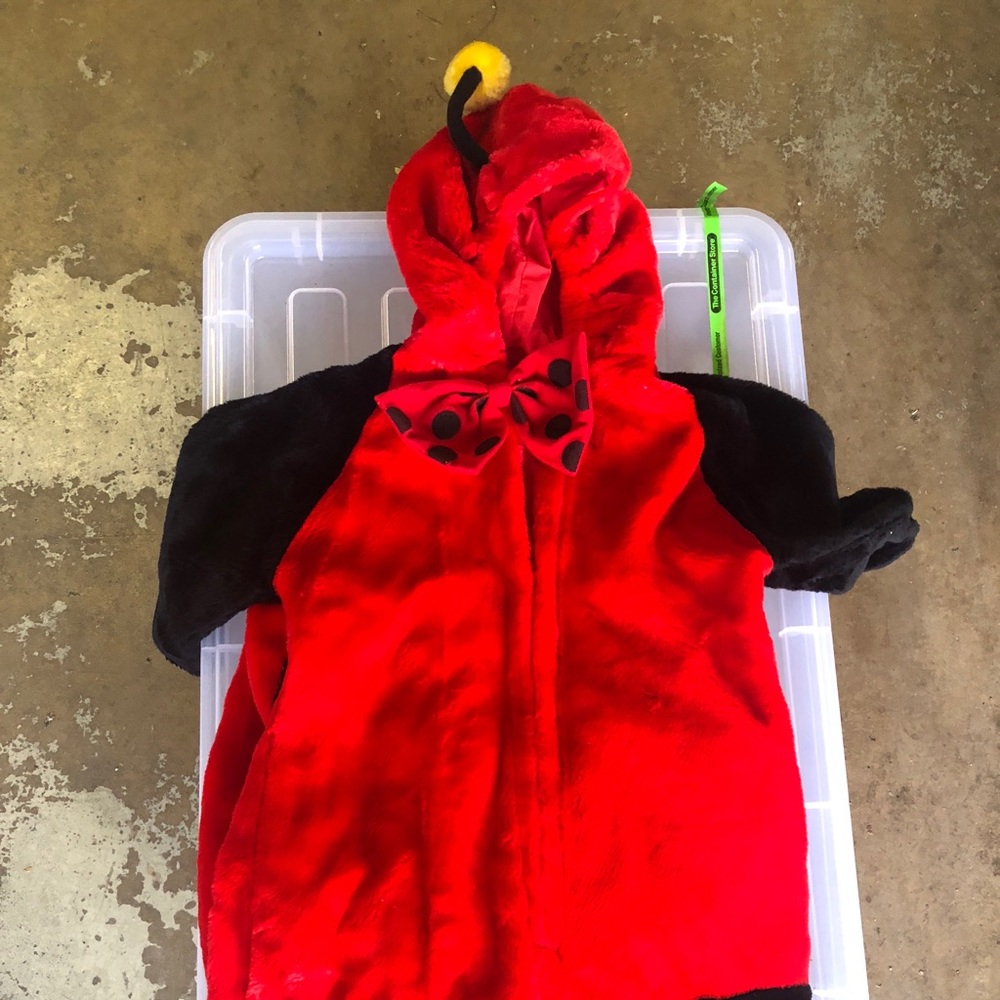 Lady Bug Halloween Costume